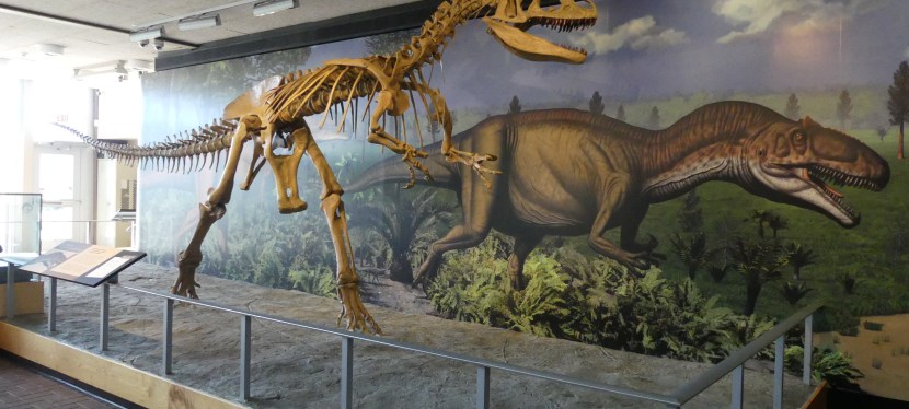 Dinosaur National Monument